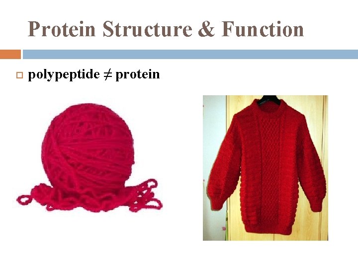 Protein Structure & Function polypeptide ≠ protein 