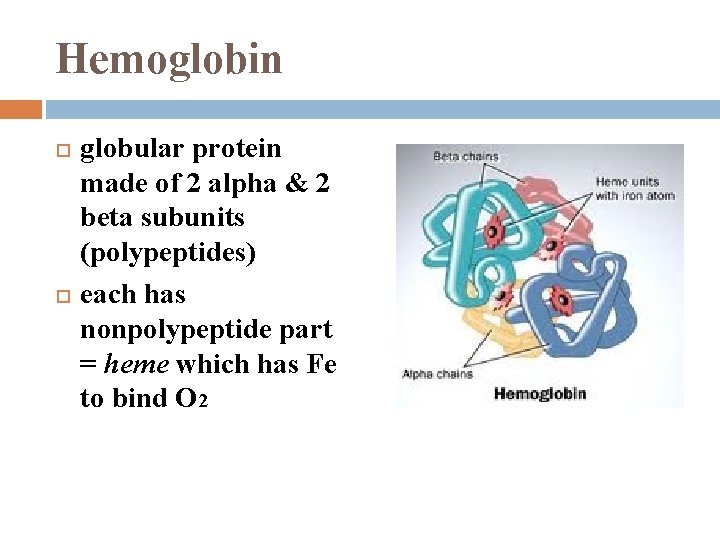 Hemoglobin globular protein made of 2 alpha & 2 beta subunits (polypeptides) each has