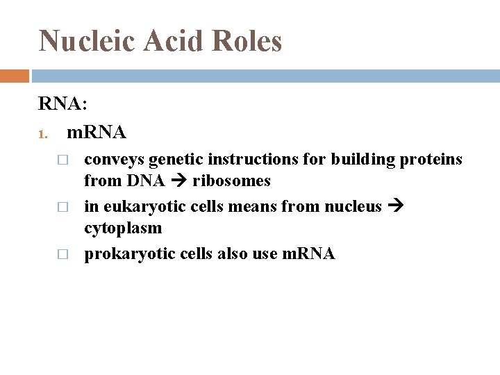 Nucleic Acid Roles RNA: 1. m. RNA � � � conveys genetic instructions for