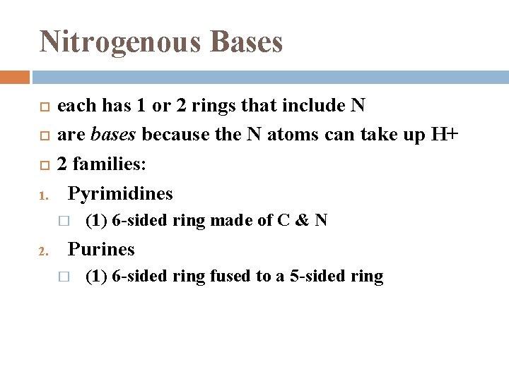 Nitrogenous Bases 1. each has 1 or 2 rings that include N are bases