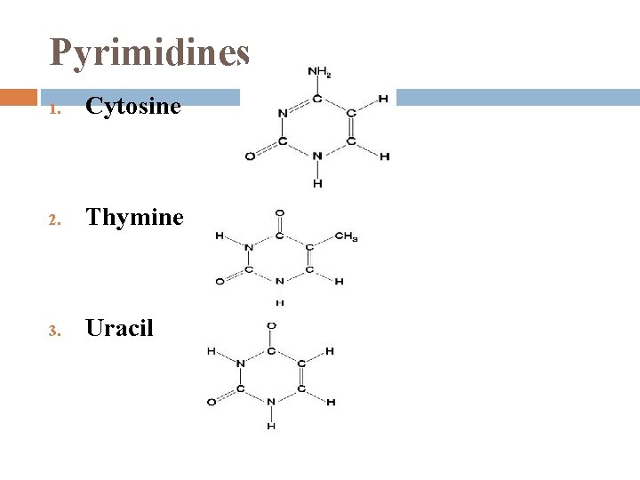 Pyrimidines 1. Cytosine 2. Thymine 3. Uracil 