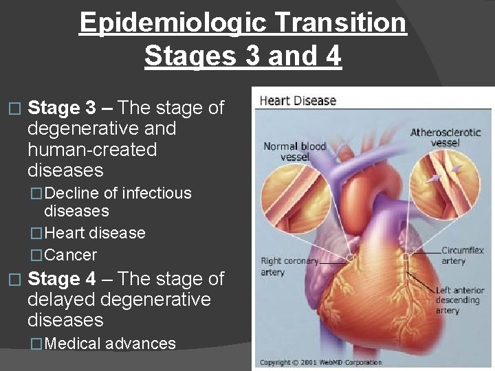 Epidemiologic Transition Stages 3 and 4 � Stage 3 – The stage of degenerative
