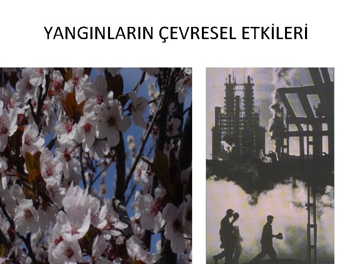 YANGINLARIN ÇEVRESEL ETKİLERİ 