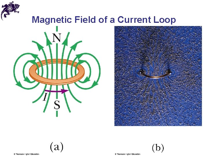 Magnetic Field of a Current Loop 