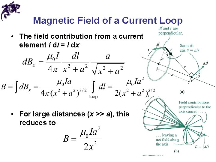 Magnetic Field of a Current Loop • The field contribution from a current element