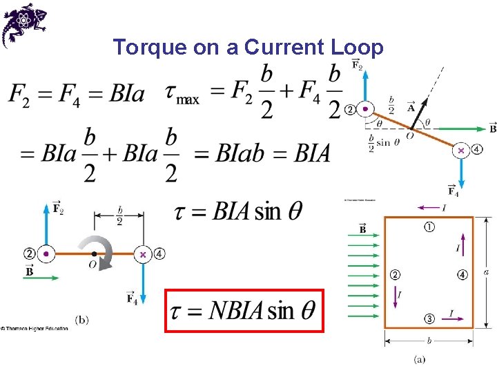 Torque on a Current Loop 