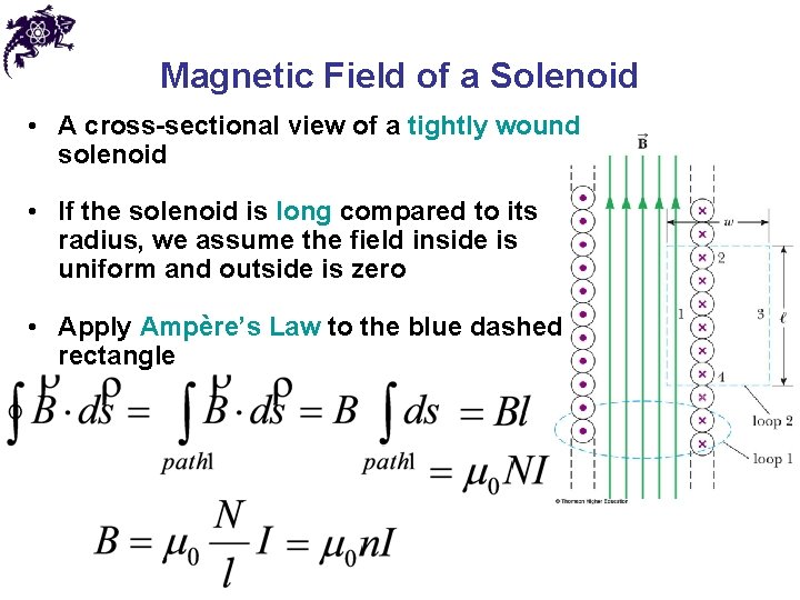 Magnetic Field of a Solenoid • A cross-sectional view of a tightly wound solenoid