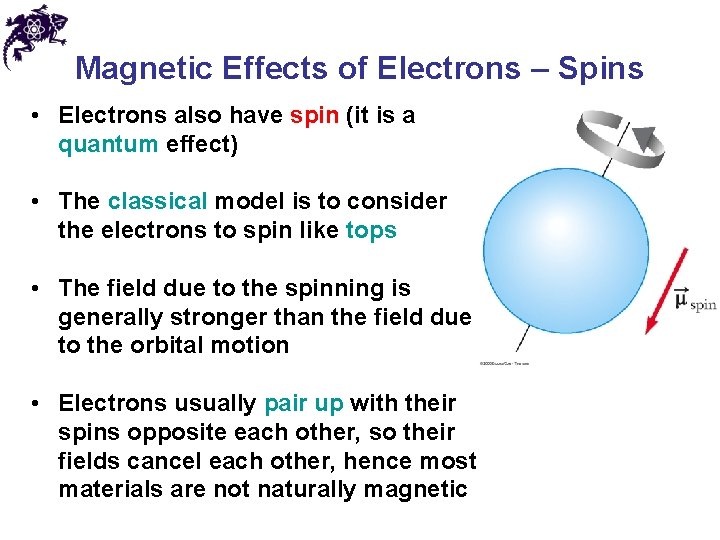 Magnetic Effects of Electrons – Spins • Electrons also have spin (it is a
