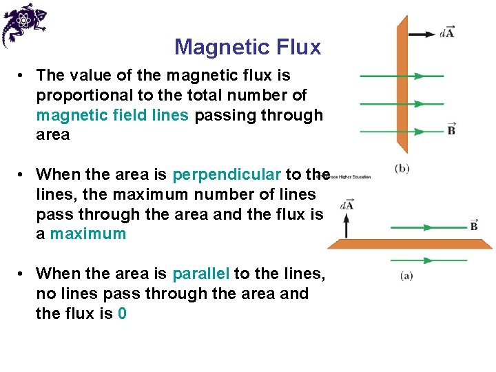 Magnetic Flux • The value of the magnetic flux is proportional to the total