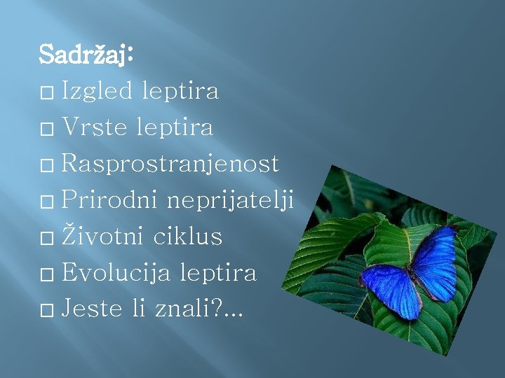 Sadržaj: � Izgled leptira � Vrste leptira � Rasprostranjenost � Prirodni neprijatelji � Životni