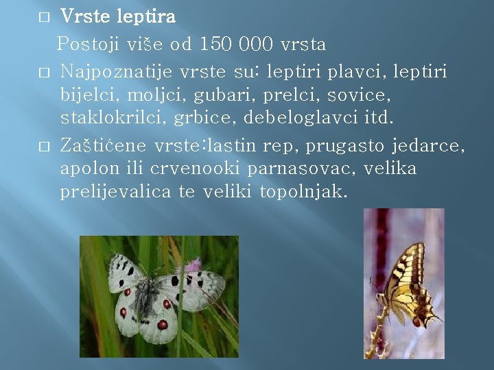 � � � Vrste leptira Postoji više od 150 000 vrsta Najpoznatije vrste su: