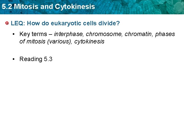 5. 2 Mitosis and Cytokinesis LEQ: How do eukaryotic cells divide? • Key terms