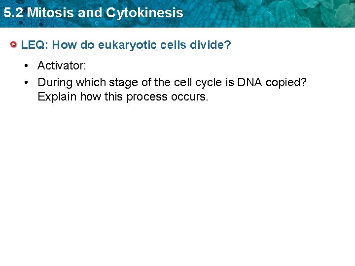 5. 2 Mitosis and Cytokinesis LEQ: How do eukaryotic cells divide? • Activator: •