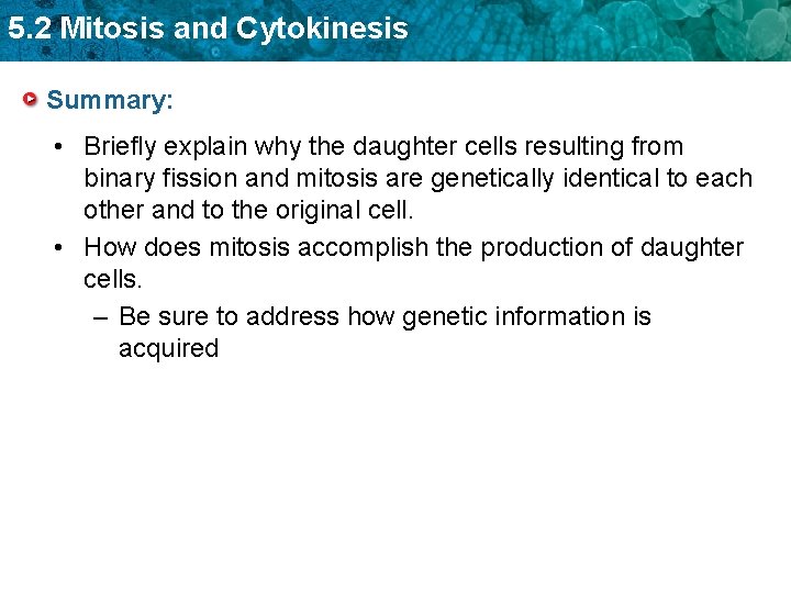 5. 2 Mitosis and Cytokinesis Summary: • Briefly explain why the daughter cells resulting