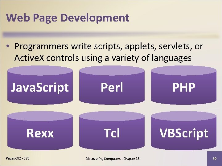 Web Page Development • Programmers write scripts, applets, servlets, or Active. X controls using