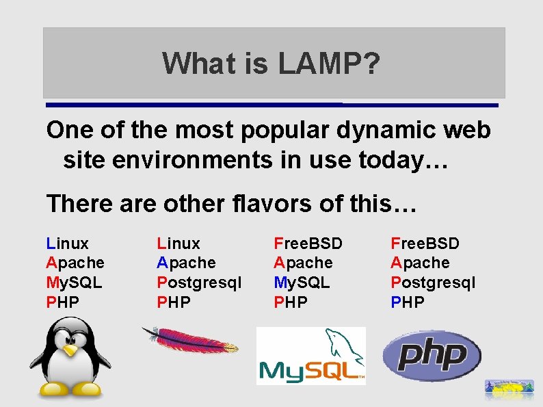 What is LAMP? One of the most popular dynamic web site environments in use