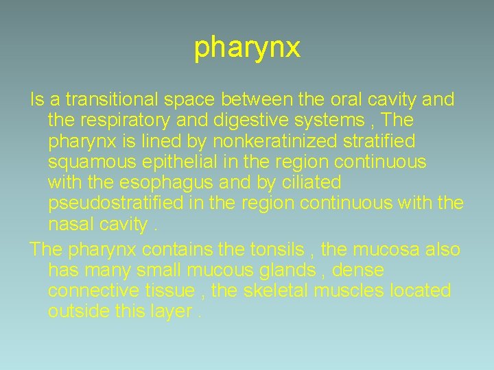pharynx Is a transitional space between the oral cavity and the respiratory and digestive