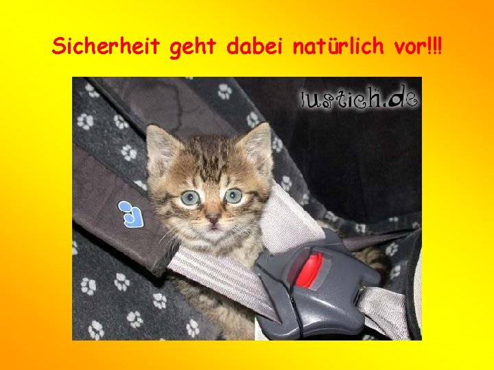 Sicherheit geht dabei natürlich vor!!! 