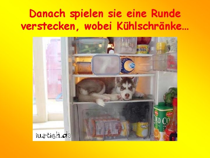 Danach spielen sie eine Runde verstecken, wobei Kühlschränke… 
