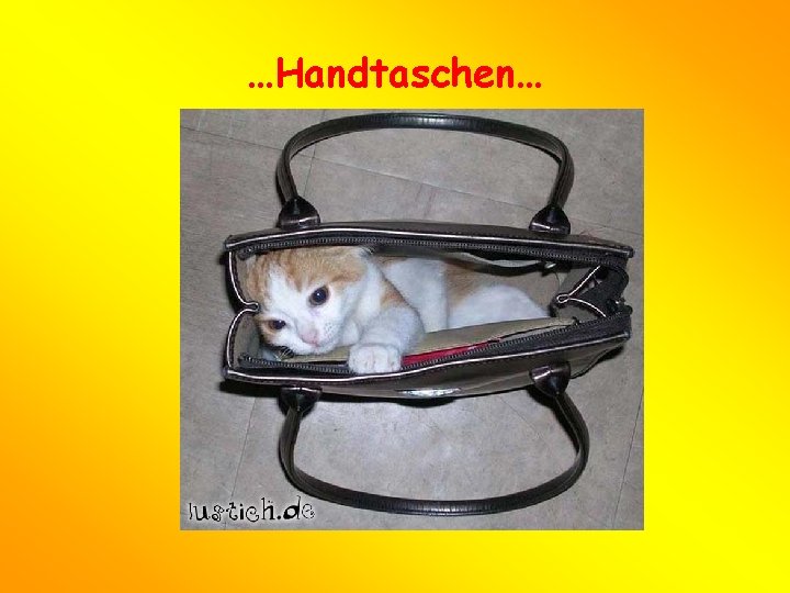 …Handtaschen… 