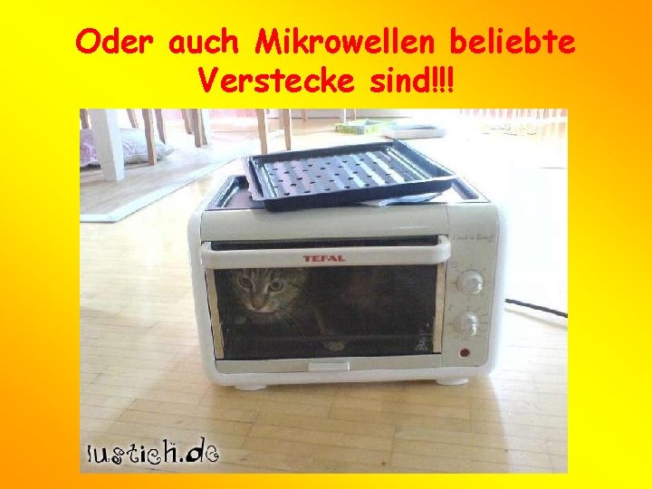 Oder auch Mikrowellen beliebte Verstecke sind!!! 