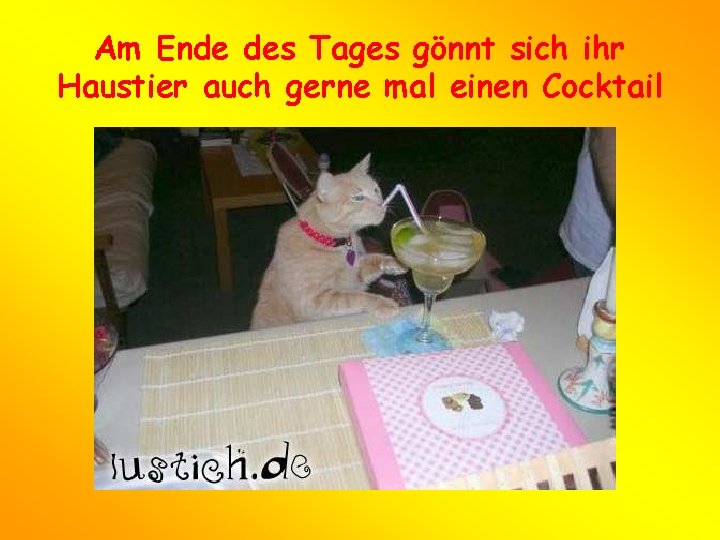 Am Ende des Tages gönnt sich ihr Haustier auch gerne mal einen Cocktail 