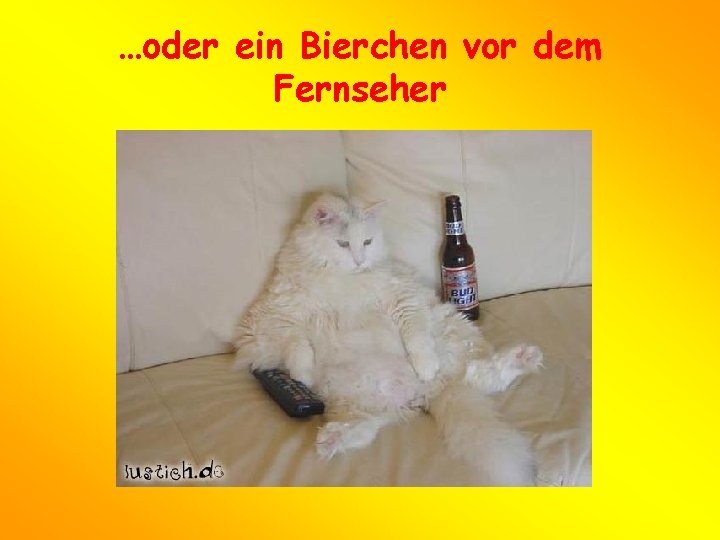 …oder ein Bierchen vor dem Fernseher 