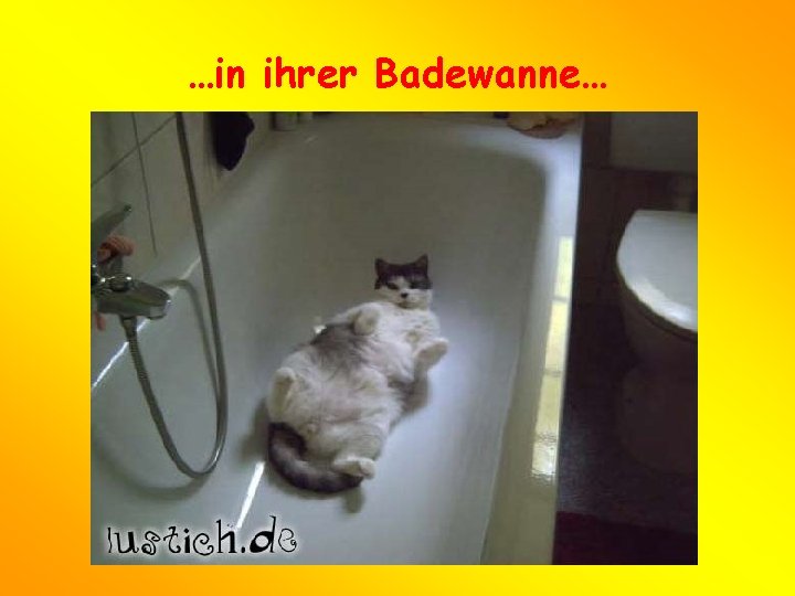 …in ihrer Badewanne… 