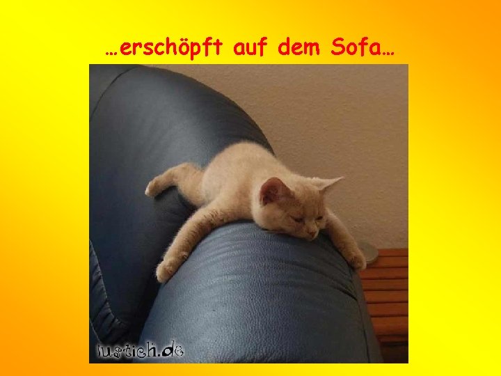 …erschöpft auf dem Sofa… 