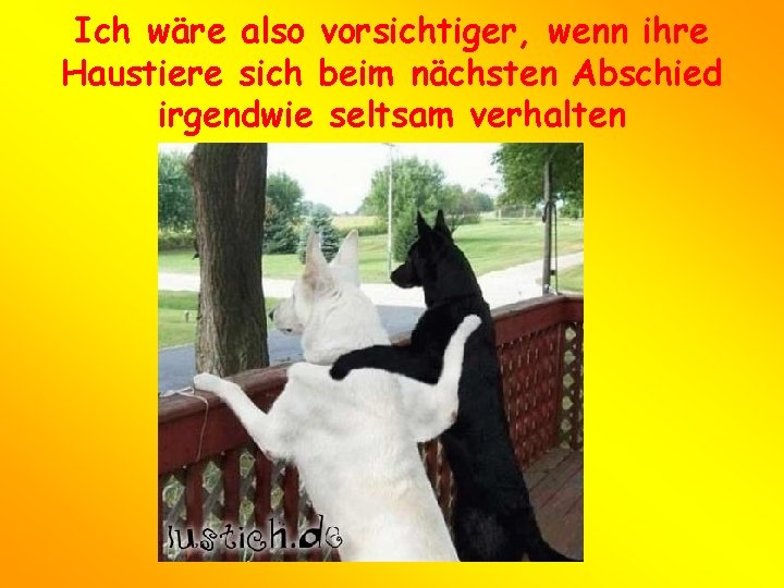 Ich wäre also vorsichtiger, wenn ihre Haustiere sich beim nächsten Abschied irgendwie seltsam verhalten