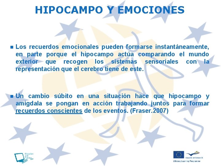 HIPOCAMPO Y EMOCIONES n Los recuerdos emocionales pueden formarse instantáneamente, en parte porque el