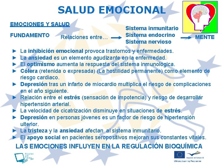 SALUD EMOCIONAL EMOCIONES Y SALUD FUNDAMENTO ► ► ► ► ► Relaciones entre… Sistema