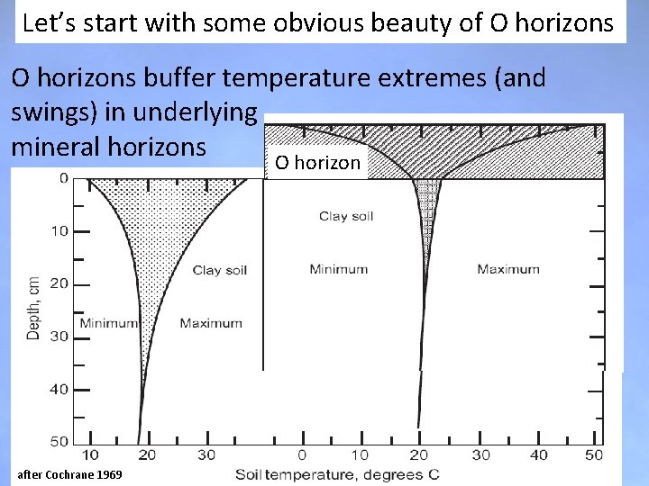 Let’s start with some obvious beauty of O horizons buffer temperature extremes (and swings) Let’s start with some obvious beauty of O horizons buffer temperature extremes (and swings)