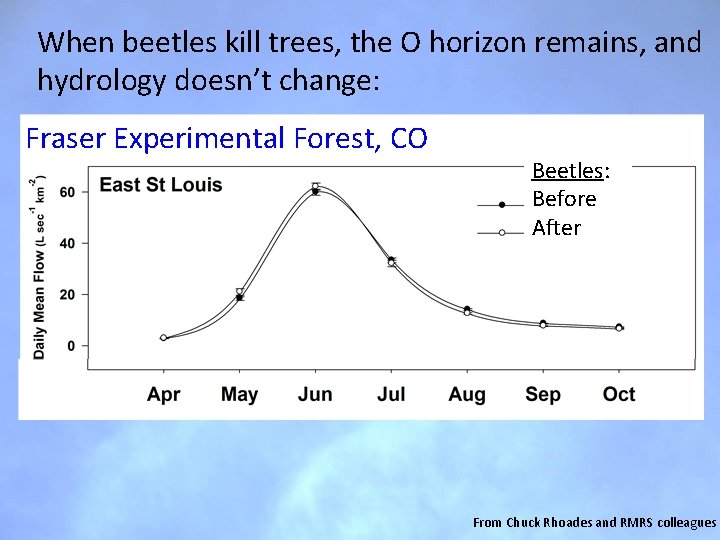 When beetles kill trees, the O horizon remains, and hydrology doesn’t change: Fraser Experimental When beetles kill trees, the O horizon remains, and hydrology doesn’t change: Fraser Experimental