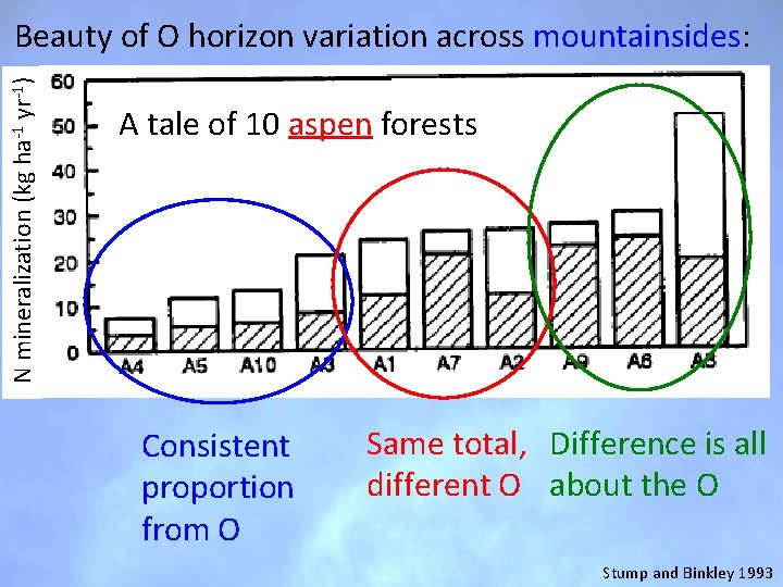 N mineralization (kg ha-1 yr-1) Beauty of O horizon variation across mountainsides: A tale N mineralization (kg ha-1 yr-1) Beauty of O horizon variation across mountainsides: A tale