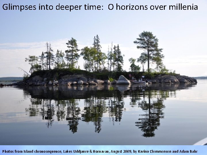 Glimpses into deeper time: O horizons over millenia Photos from Island chronosequence, Lakes Uddjaure Glimpses into deeper time: O horizons over millenia Photos from Island chronosequence, Lakes Uddjaure