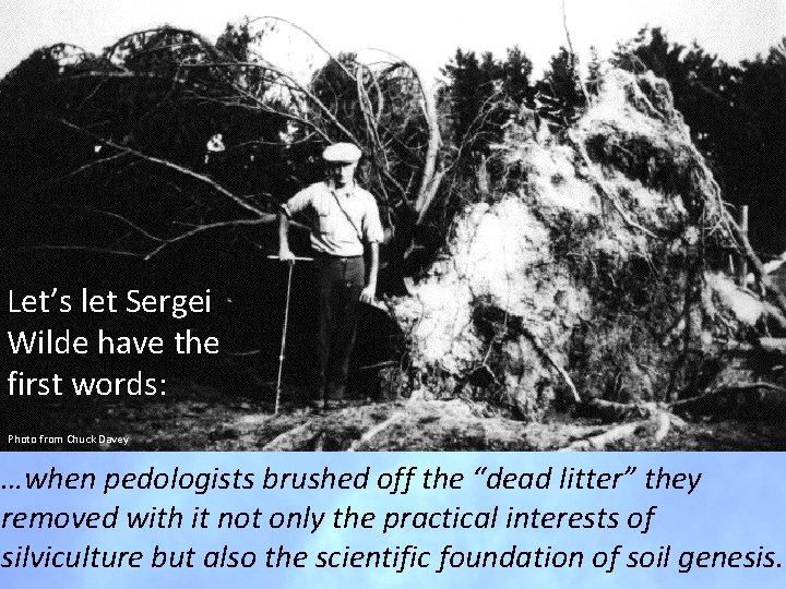 Let’s let Sergei Wilde have the first words: Photo from Chuck Davey …when pedologists Let’s let Sergei Wilde have the first words: Photo from Chuck Davey …when pedologists