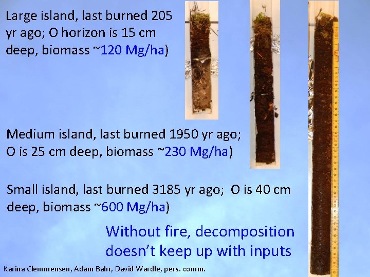 Large island, last burned 205 yr ago; O horizon is 15 cm deep, biomass Large island, last burned 205 yr ago; O horizon is 15 cm deep, biomass