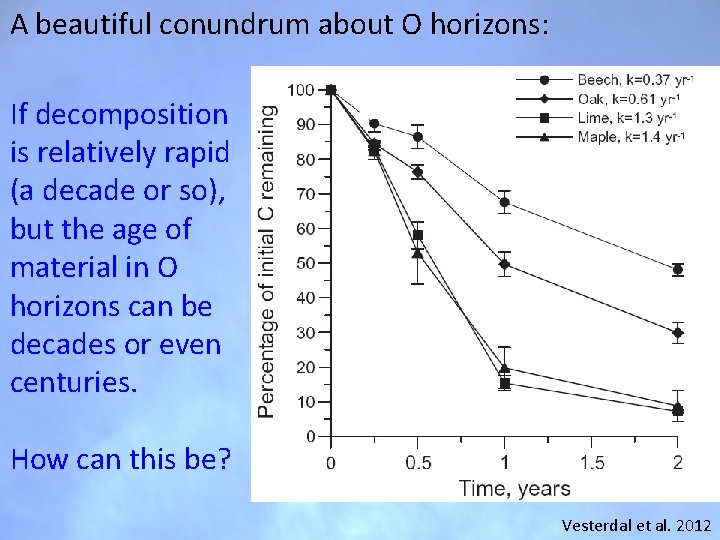 A beautiful conundrum about O horizons: If decomposition is relatively rapid (a decade or A beautiful conundrum about O horizons: If decomposition is relatively rapid (a decade or