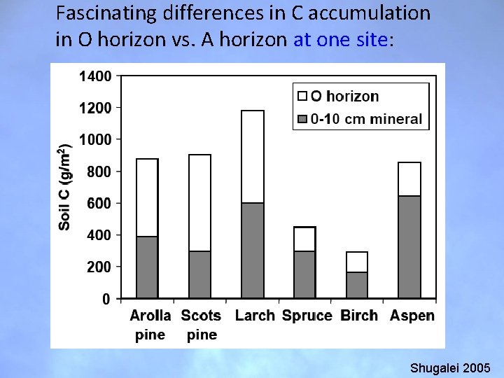 Fascinating differences in C accumulation in O horizon vs. A horizon at one site: Fascinating differences in C accumulation in O horizon vs. A horizon at one site: