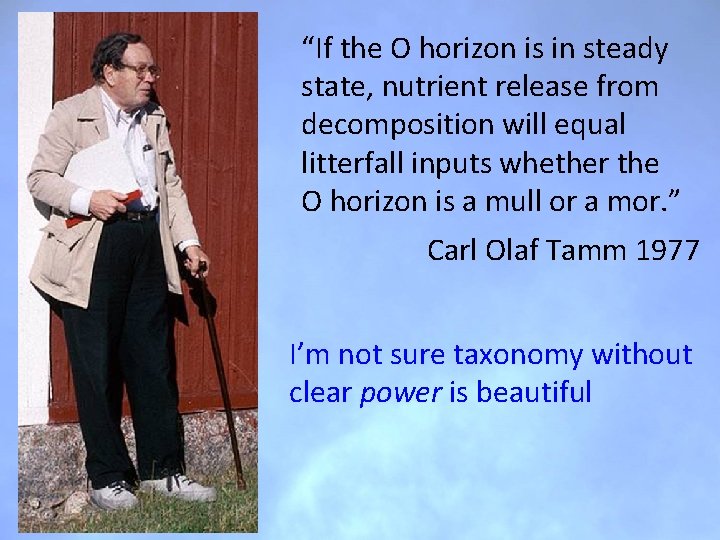 “If the O horizon is in steady state, nutrient release from decomposition will equal “If the O horizon is in steady state, nutrient release from decomposition will equal