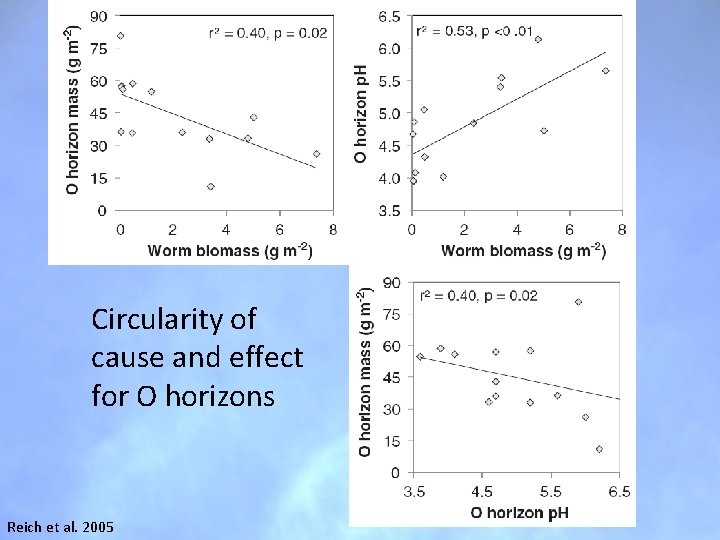 Circularity of cause and effect for O horizons Reich et al. 2005 Circularity of cause and effect for O horizons Reich et al. 2005