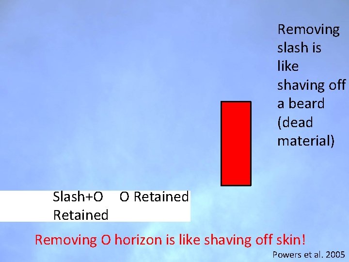 Removing slash is like shaving off a beard (dead material) Slash+O O Retained Removing Removing slash is like shaving off a beard (dead material) Slash+O O Retained Removing