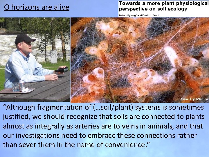O horizons are alive Photo © Kjell Olofsson “Although fragmentation of (…soil/plant) systems is O horizons are alive Photo © Kjell Olofsson “Although fragmentation of (…soil/plant) systems is