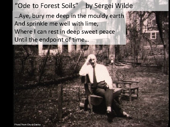 “Ode to Forest Soils” by Sergei Wilde …Aye, bury me deep in the mouldy “Ode to Forest Soils” by Sergei Wilde …Aye, bury me deep in the mouldy