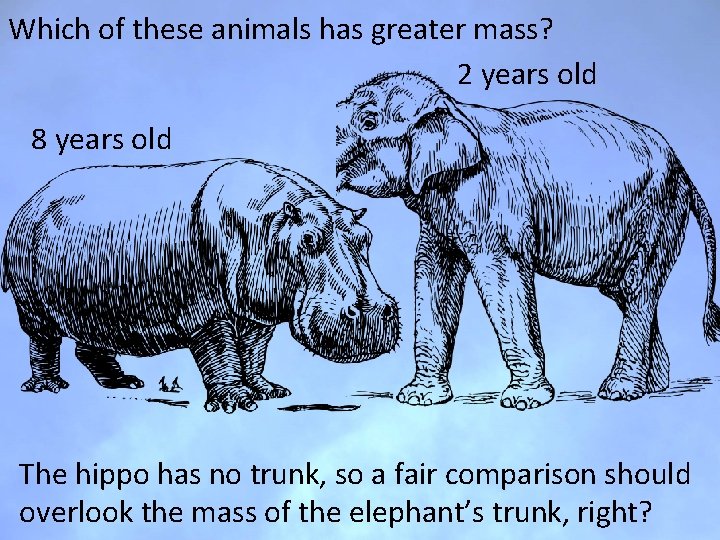 Which of these animals has greater mass? 2 years old 8 years old The Which of these animals has greater mass? 2 years old 8 years old The