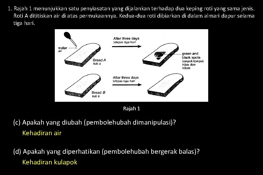 1. Rajah 1 menunjukkan satu penyiasatan yang dijalankan terhadap dua keping roti yang sama