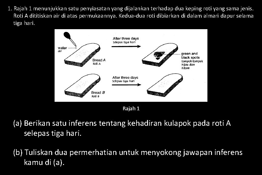 1. Rajah 1 menunjukkan satu penyiasatan yang dijalankan terhadap dua keping roti yang sama