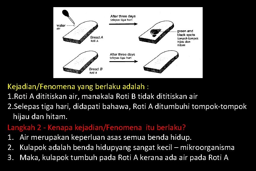 Kejadian/Fenomena yang berlaku adalah : 1. Roti A dititiskan air, manakala Roti B tidak