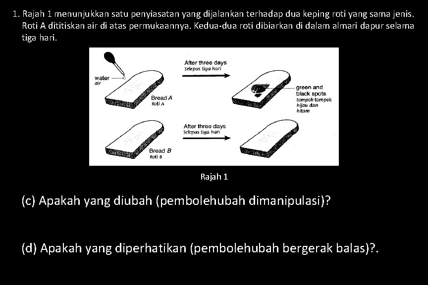 1. Rajah 1 menunjukkan satu penyiasatan yang dijalankan terhadap dua keping roti yang sama